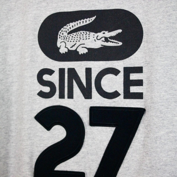 Lacoste Grey Small Logo T-Shirt with Front and Back Print (Medium) - Picture 4 of 4